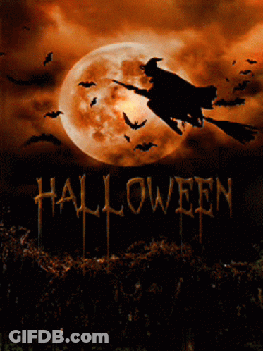 Halloween Poster With Witch On Broom And Bats GIF