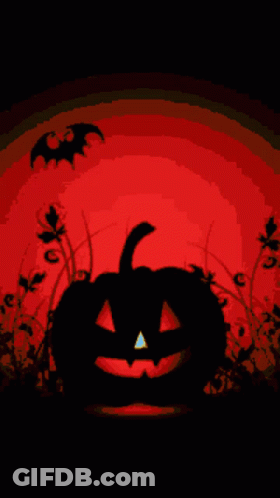 Halloween Pumpkin Silhouette With Bats And Rainbow GIF