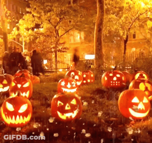 Halloween Pumpkins Lit Up In A Park GIF