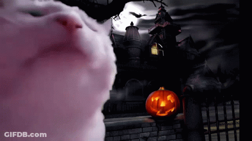 Halloween Scene With Pumpkin And Cotton Candy GIF