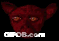 Halloween Sticker GIF