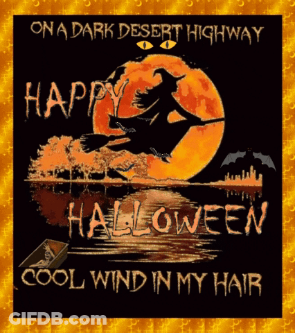 Halloween Witch On Broom In Front Of Full Moon GIF