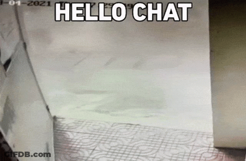 Hallway Saying Hello Chat GIF