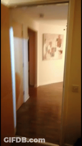 Hallway With Painting And Open Door GIF