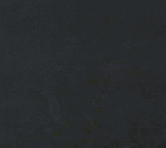 Ham Salad War GIF