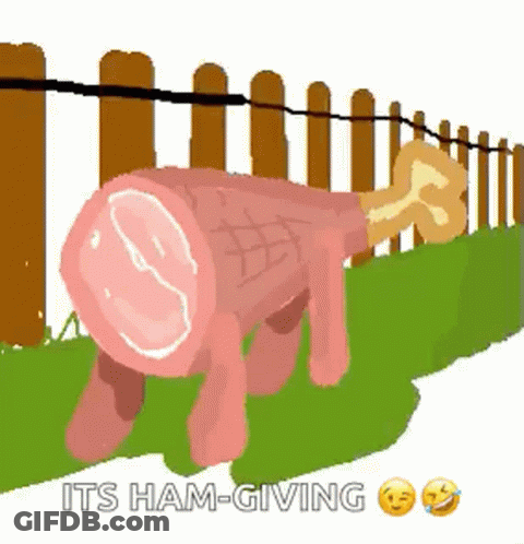 Ham With Bone Standing In Front Of Fence GIF