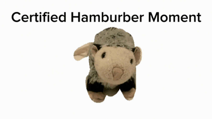 Hamburber Moment Scrunkly GIF