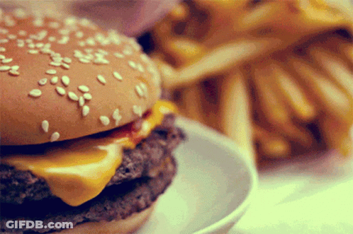 Hamburger And French Fries Close Up GIF