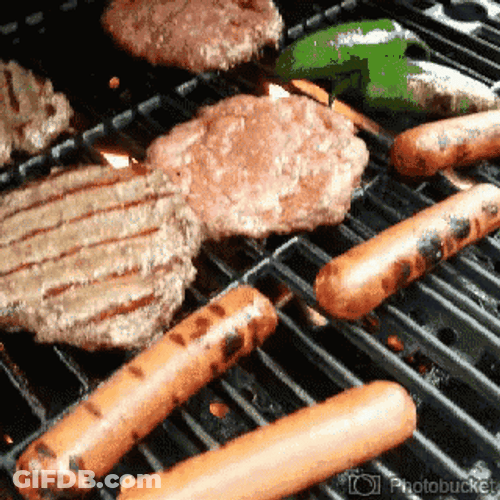Hamburger Hotdogs Grilling GIF