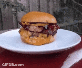 Hamburger On White Plate GIF