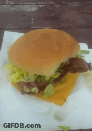 Hamburger With Lettuce And Cheese On Bun GIF