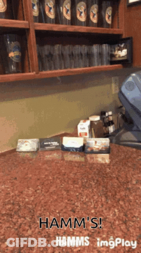 Hamm's Beer Written On Counter With Glasses GIF