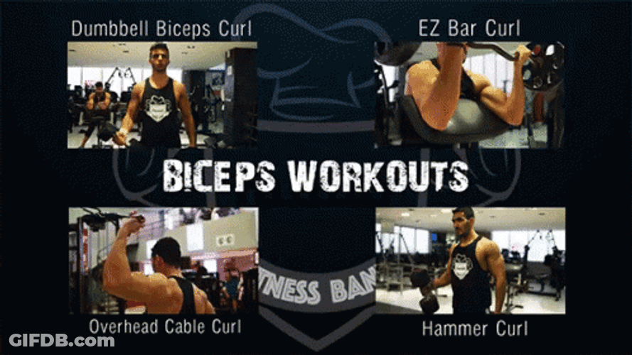 Hammer Curls All Day GIF