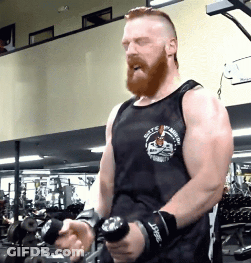 Hammer Curls Coming Up GIF