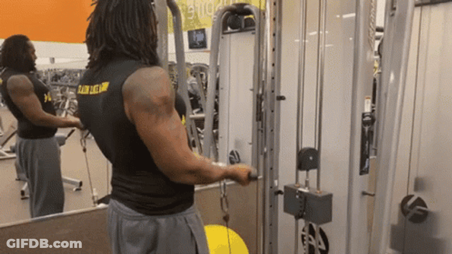 Hammer Curls On The Go GIF