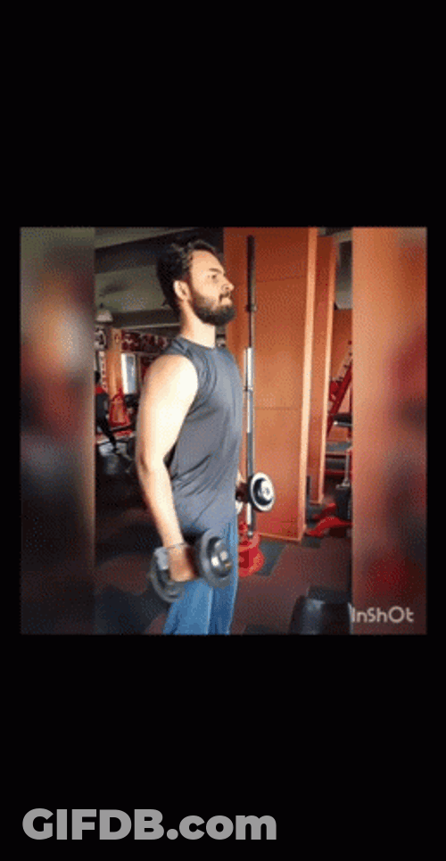 Hammer Curls Workout GIF