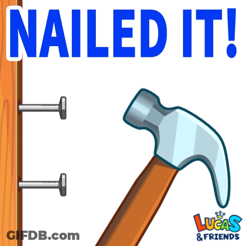Hammer Hitting Nail Nailed It GIF