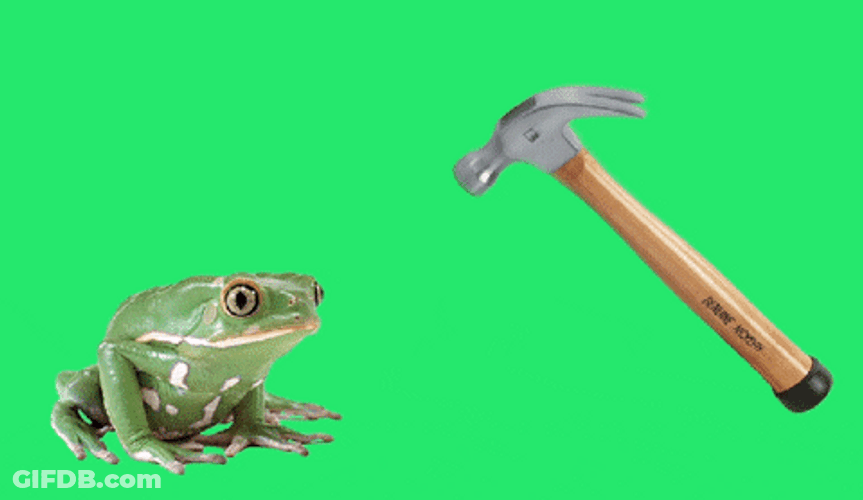 Hammer Smashed Bull Frog GIF