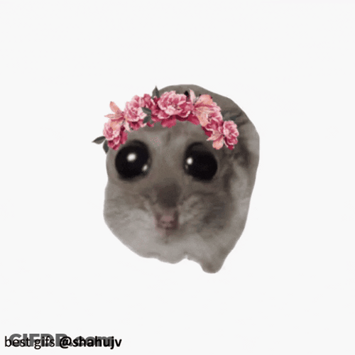 Hampter Meme Boba Eyes With Flower Crown GIF