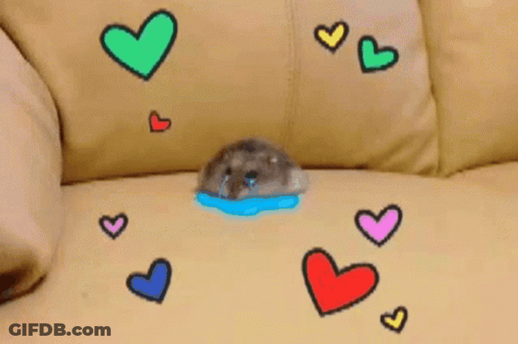 Hampter Meme Crying In Sofa GIF