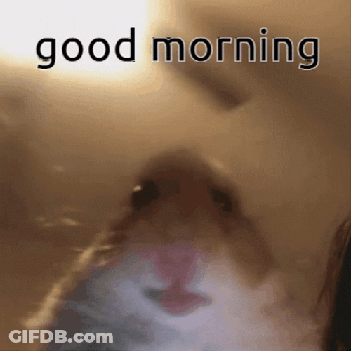 Hampter Meme Morning Greeting GIF