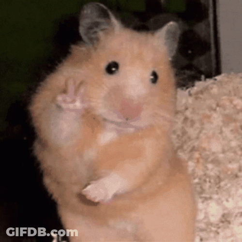 Hampter Meme Peace Sign Transition GIF