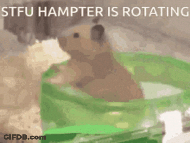 Hampter Meme Rotating GIF