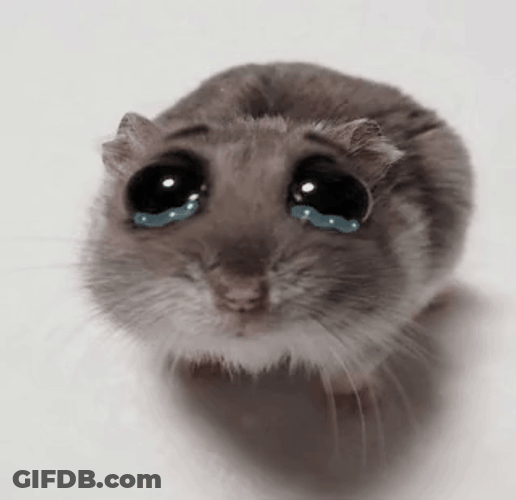 Hampter Meme Teary Eyed GIF