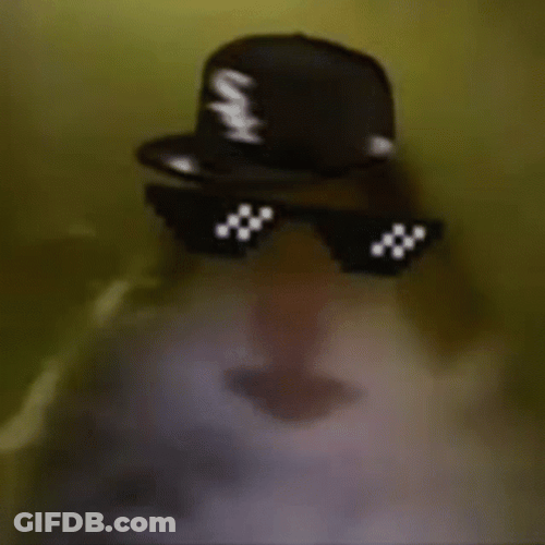 Hampter Meme Thug Life GIF