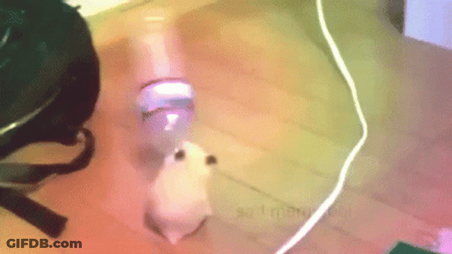 Hampter Waving The Plastic Bottle GIF