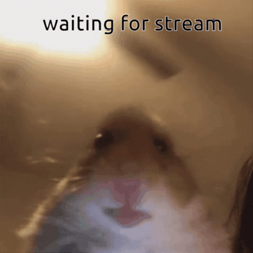 Hamster Anxiously Waiting For Stream GIF