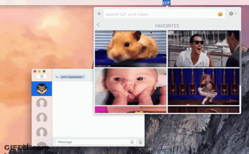 Hamster Baby Man And Woman GIF
