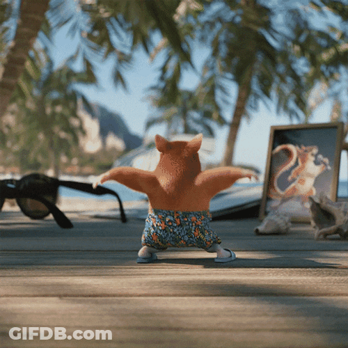 Hamster Beach Shows Dance Moves Jumps Front GIF