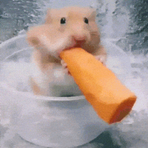 Hamster Carrot GIF