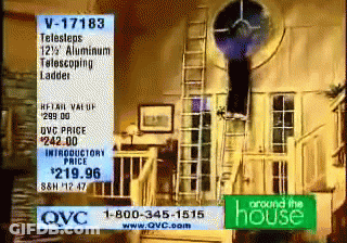 Hamster Climbing Wooden Ladder GIF
