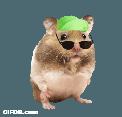 Hamster Cool Gangster Meme GIF