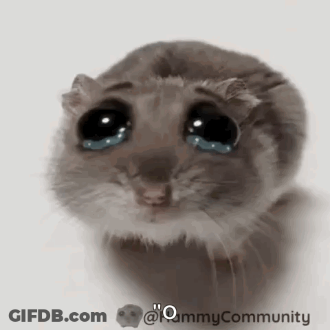 Hamster Crying Tears GIF