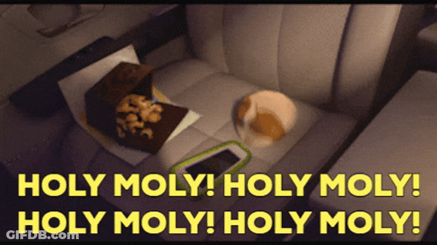 Hamster Dance Sofa Holy Moly GIF