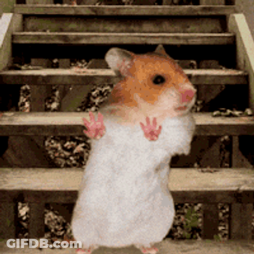 Hamster Dance Stair Arms Forward Body Sway GIF
