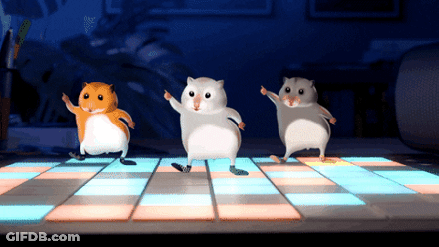 Hamster Dance Stomp Feet Colorful Dancefloor GIF