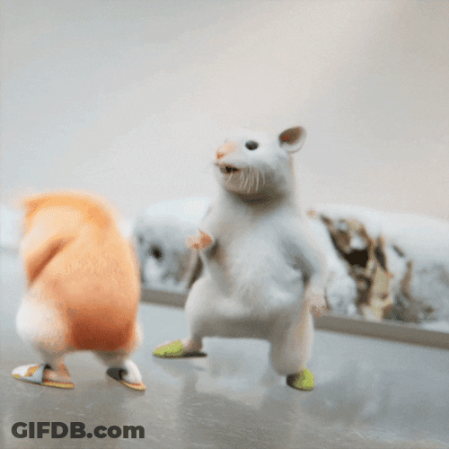 Hamster Dance Twist Jump GIF