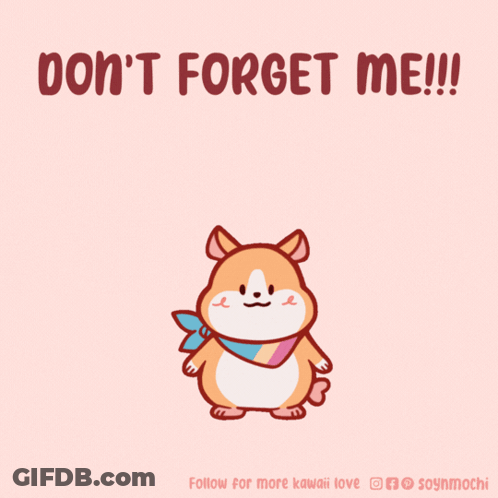 Hamster Don't Forget Me GIF