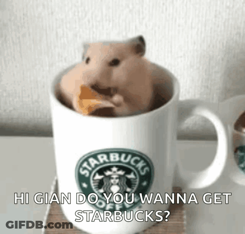 Hamster Eating Cheese In Starbucks Mug GIF