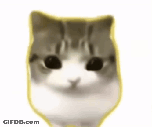 Hamster Eating Food Saying It's A Date GIF