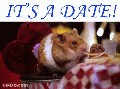 Hamster Eating Food Saying It's A Date GIF