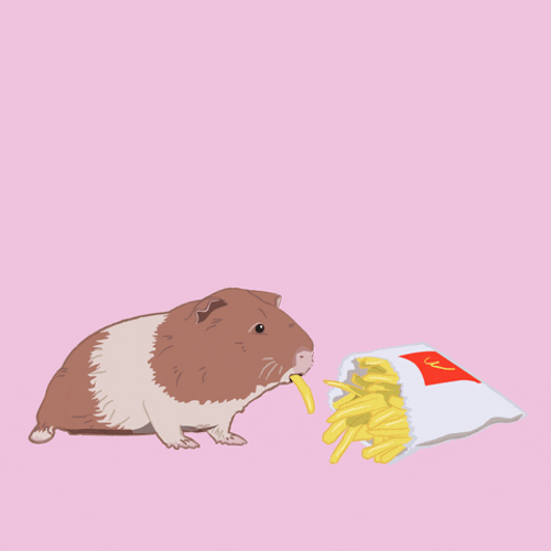 Hamster Eating French Fries GIF