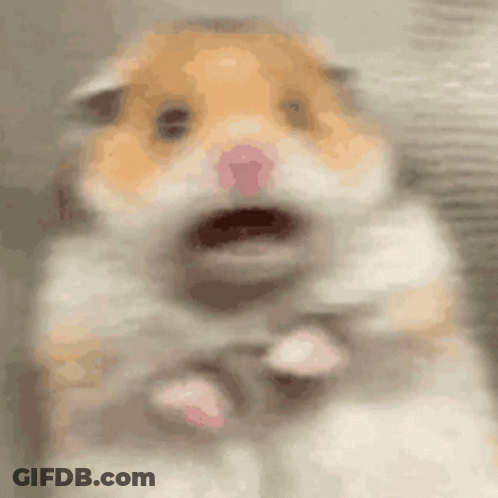 Hamster Face With Open Mouth GIF