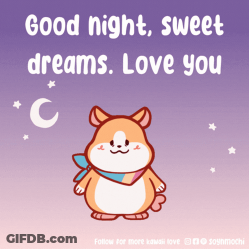 Hamster Good Night Sweet Dreams Love You GIF