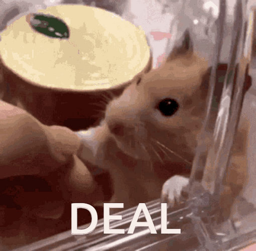 Hamster Hand Shake Deal GIF