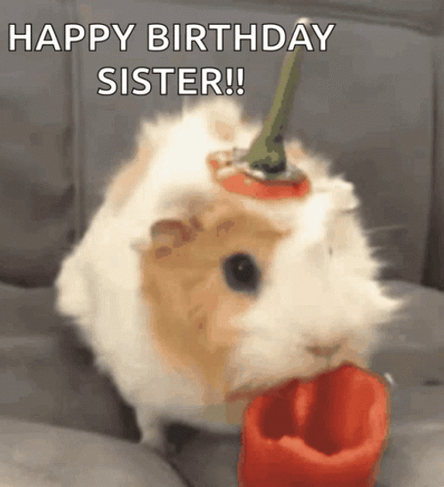 Hamster Happy Birthday Sister GIF